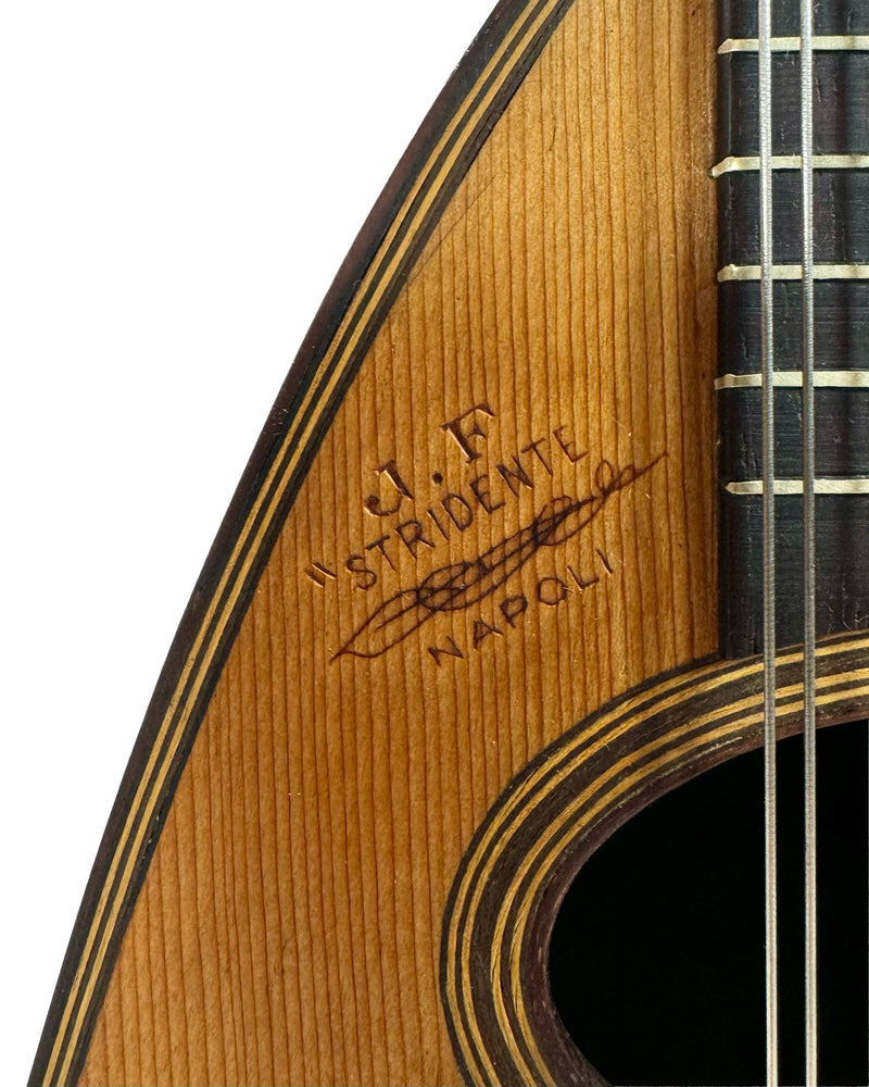 Mandoline Stridente d'Étude (Palissandre) 1900's