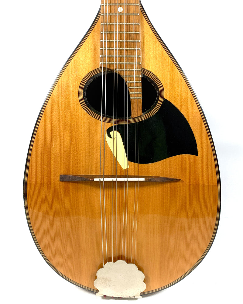 Mandolin Eb Mandoline Style Embergher Allemagne 1950's – L'instrumenterie