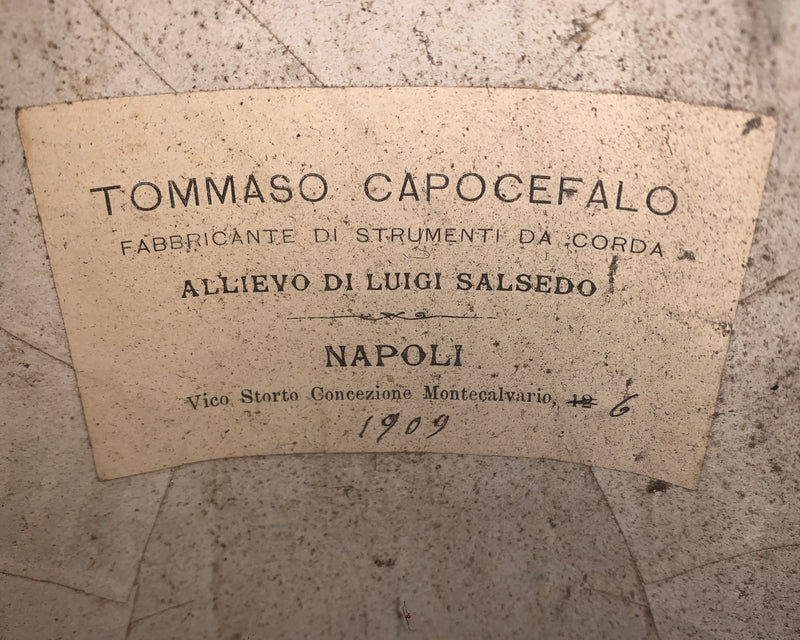 Mandoline Tommaso Capocefalo (Élève de Salsedo) de 1909