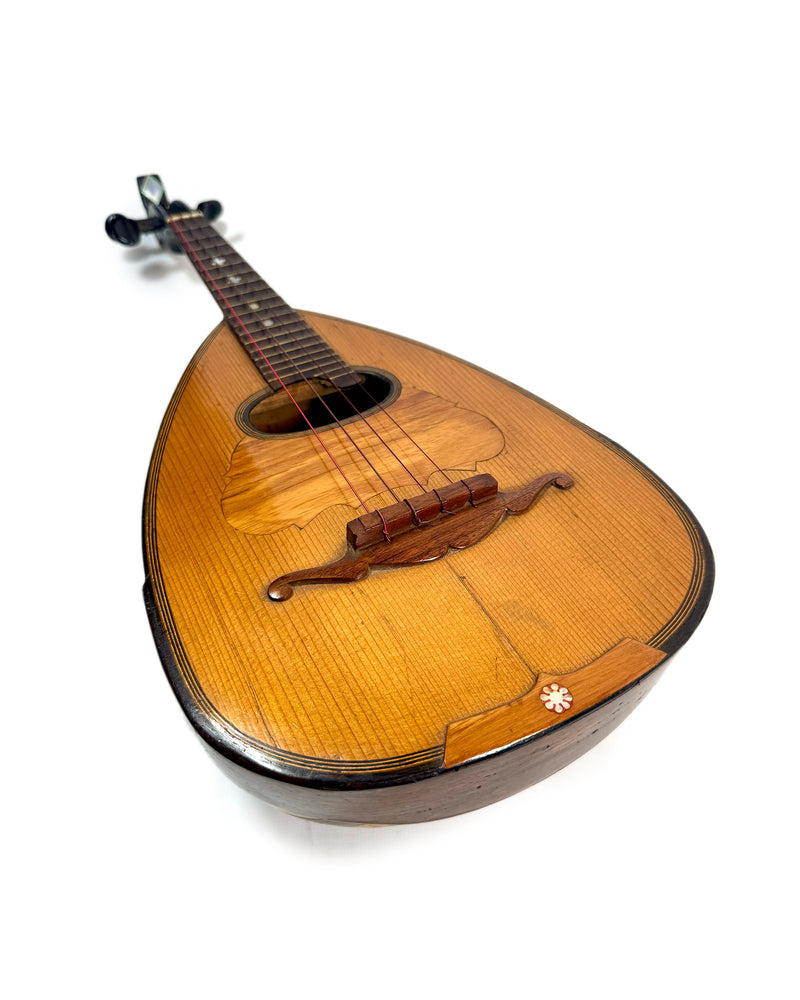 Mandoline de Brescia Étiquette Estudiantina G. Colombo 1890's / 1900's ...