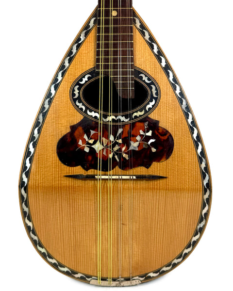 Mandolines / Mandolins – Page 2 – L'instrumenterie
