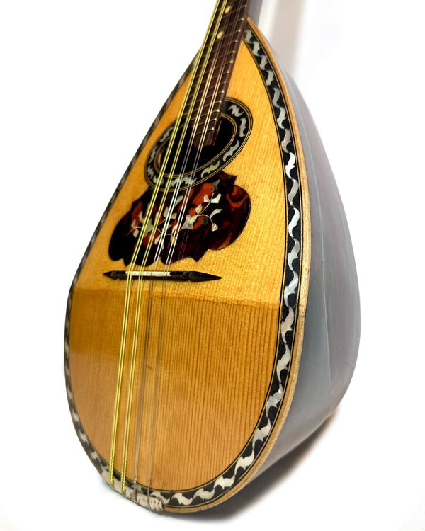 Mandolines / Mandolins – Page 3 – L'instrumenterie
