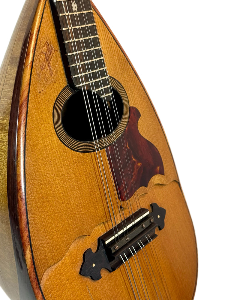 Mandoline de Concert Double Table Type Gelas (Étiquette J. Rowies) de ...