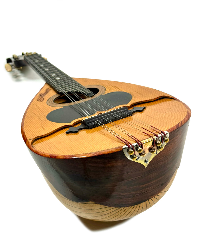 Mandoline de Concert Double Table "Gelas" par Gaudet de 1912