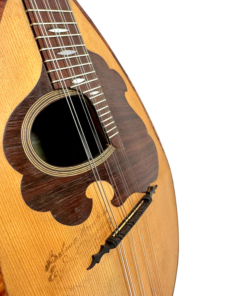 Mandoline de Concert E. De Cristofaro 1910's