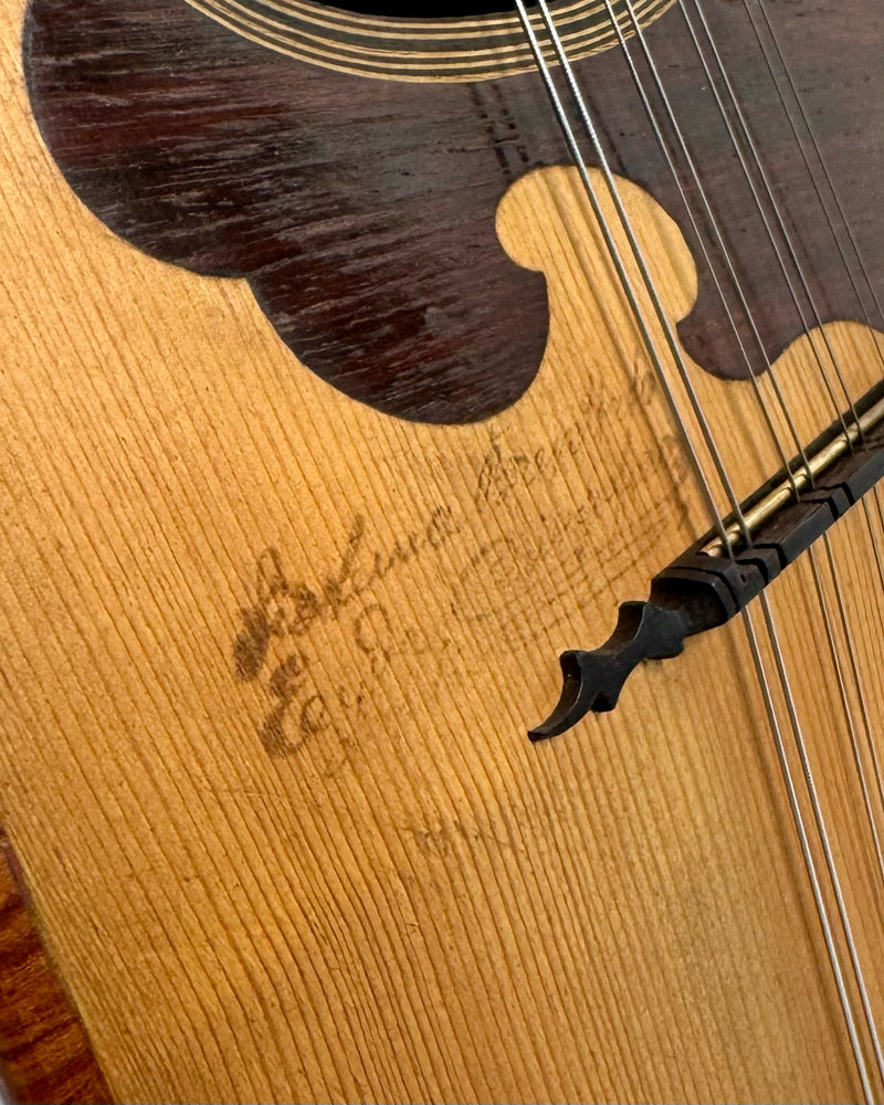 Mandoline de Concert E. De Cristofaro 1910's