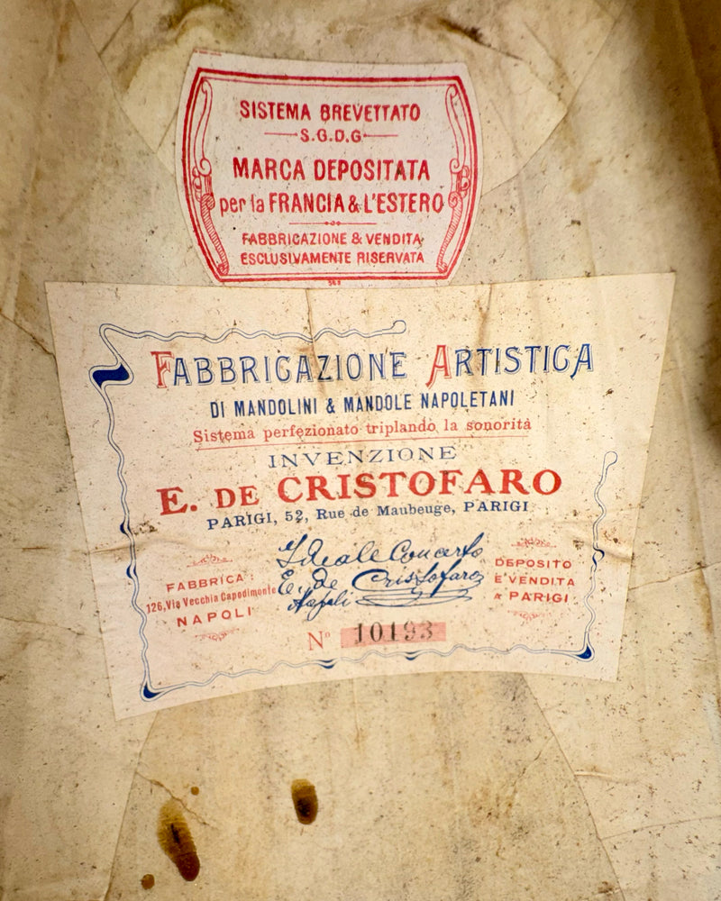 Mandoline de Concert E. De Cristofaro 1910's