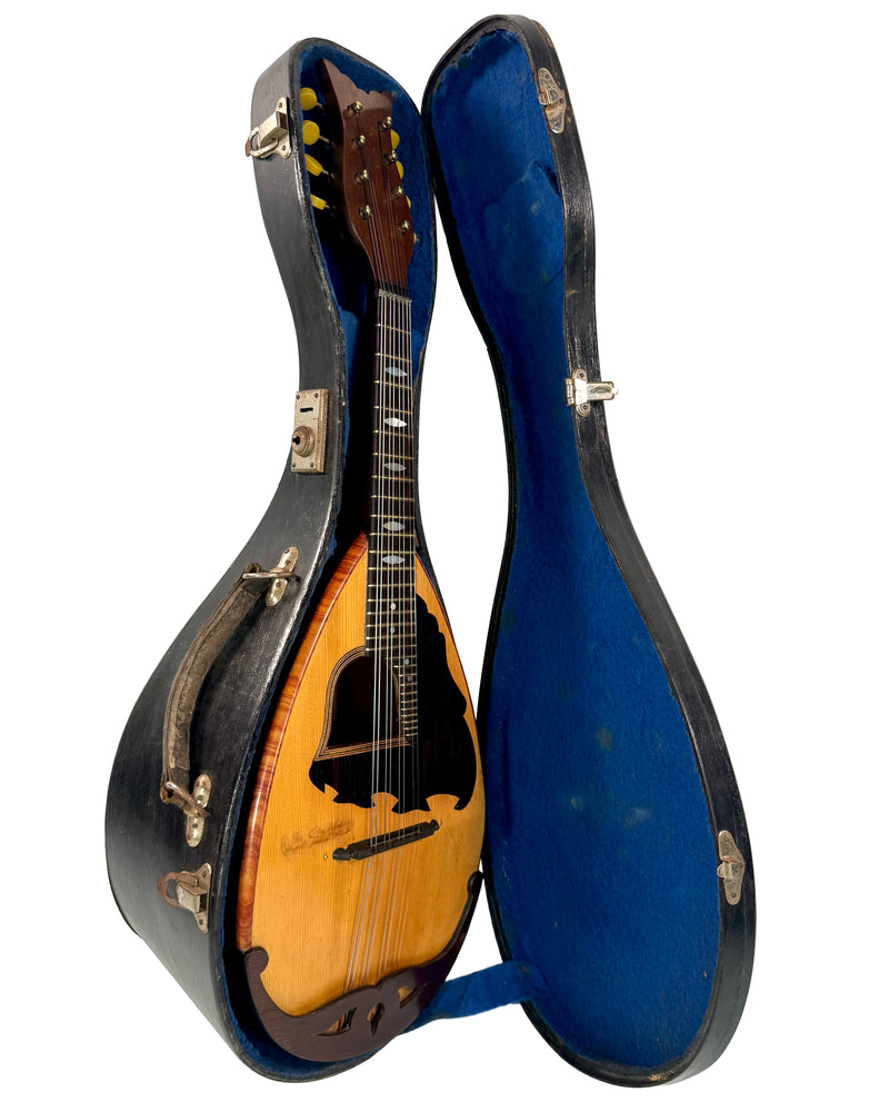 Mandoline de Concert E. De Cristofaro 1930's