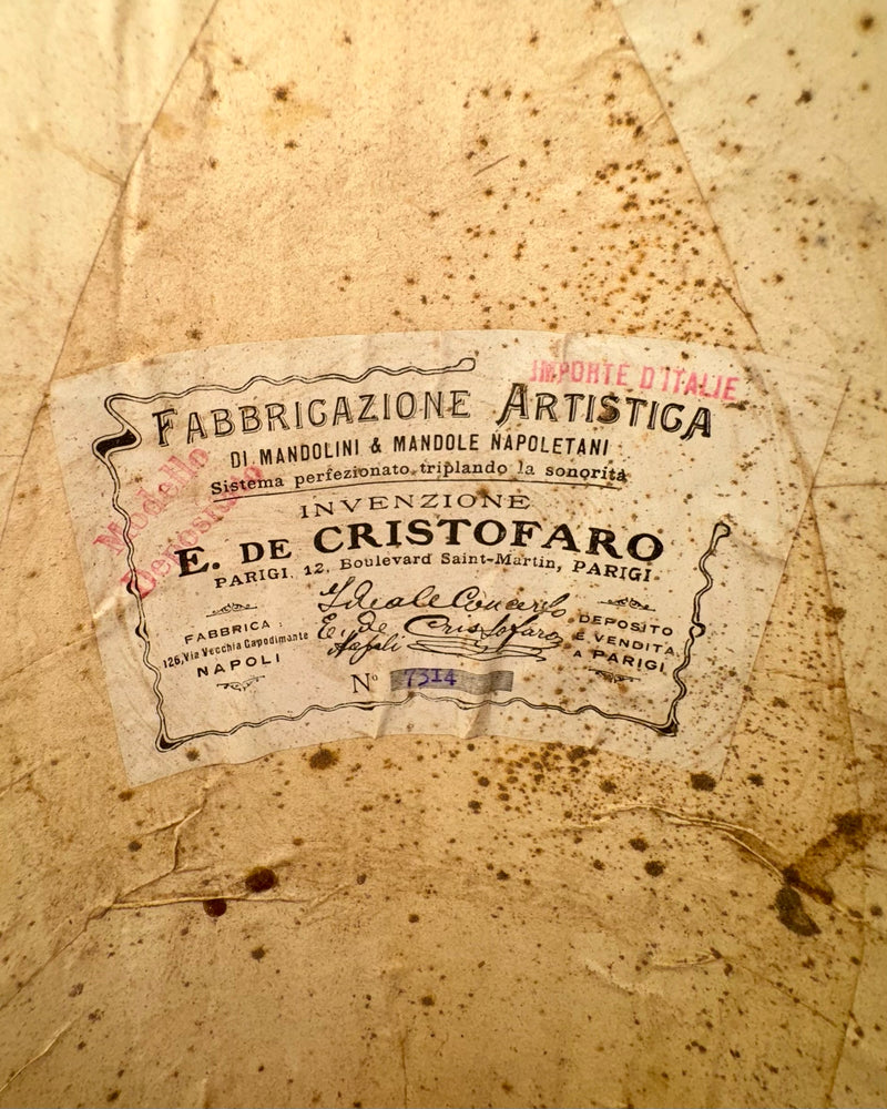 Mandoline de Concert E. De Cristofaro 1930's