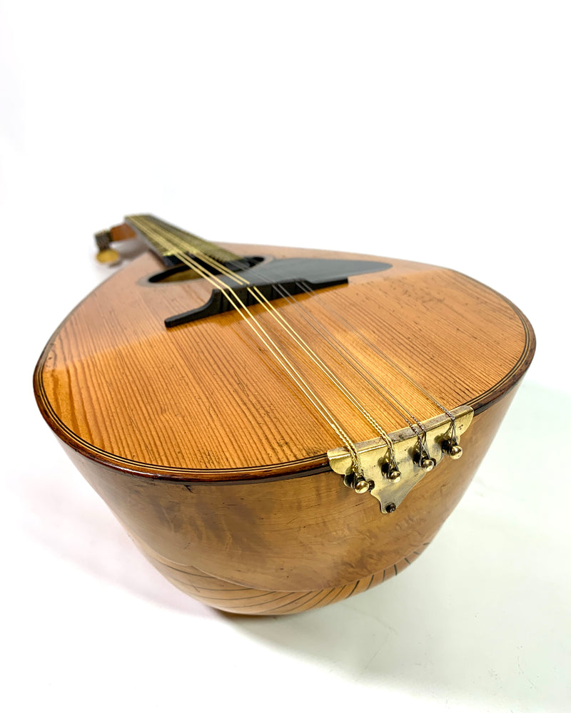 Mandoline de Concert Emanuele Egildo Modèle C de 1922