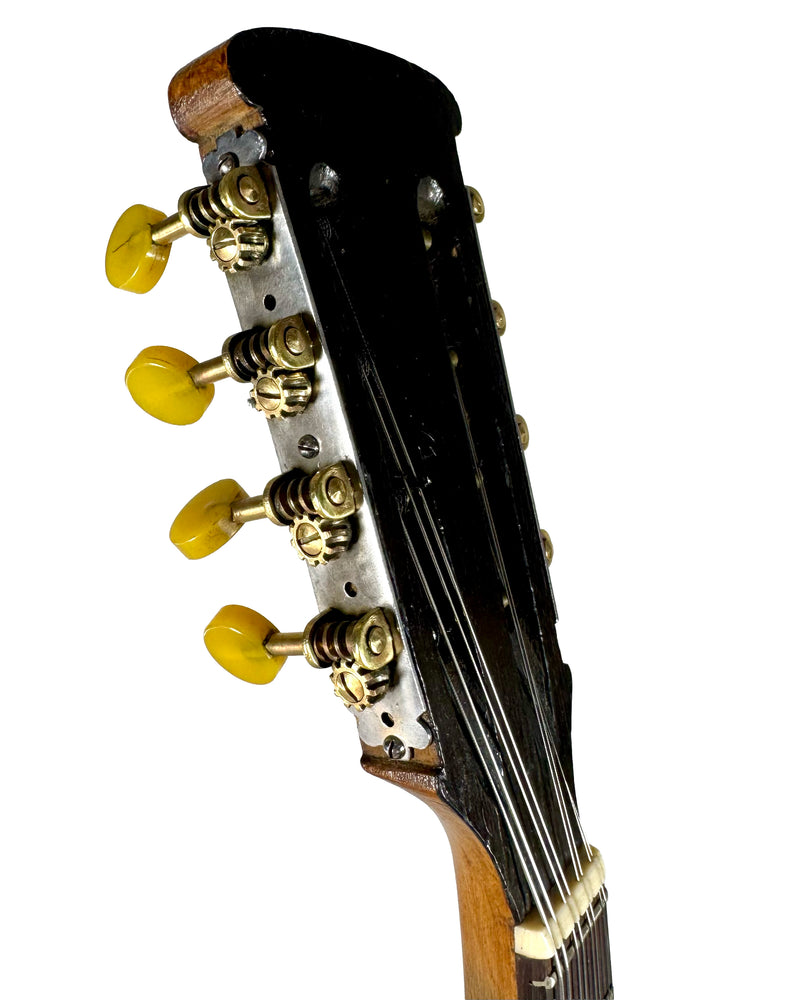 Mandoline de Concert Emanuele Egildo N°299 de 1912