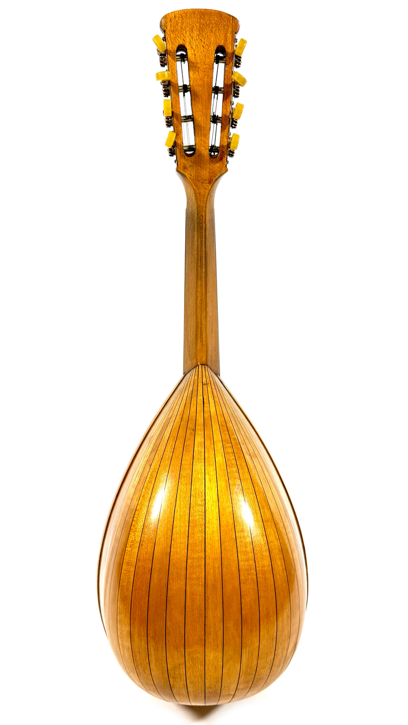 Mandoline de Concert Emanuele Egildo N°544 de 1925