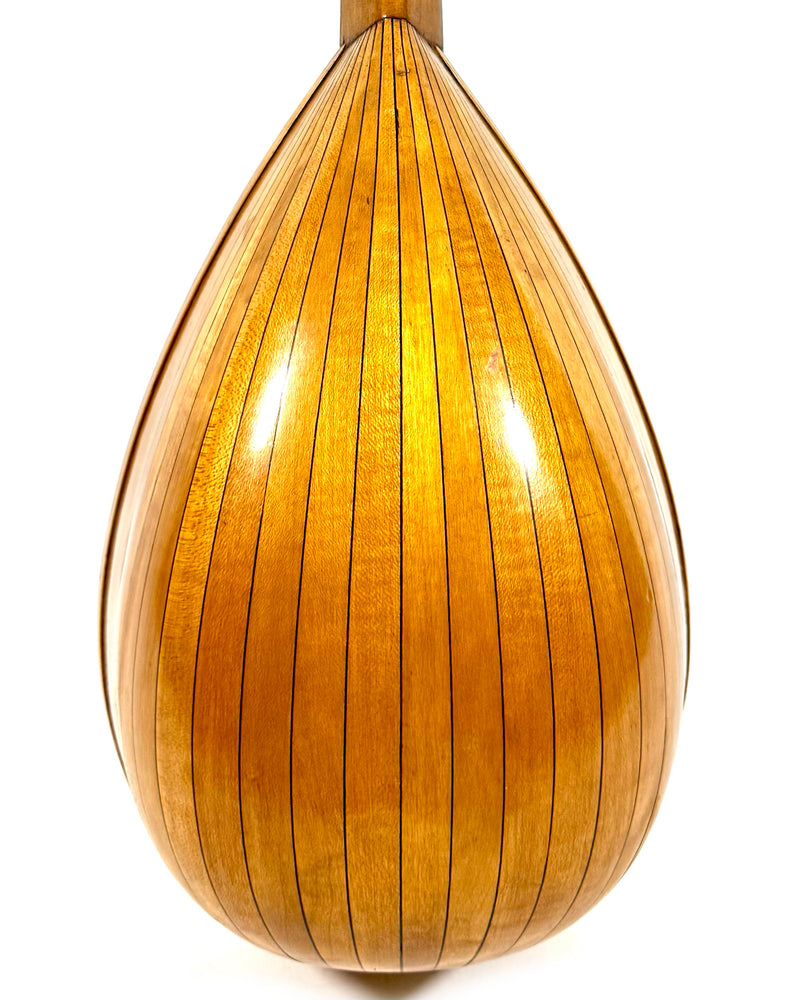 Mandoline de Concert Emanuele Egildo N°544 de 1925