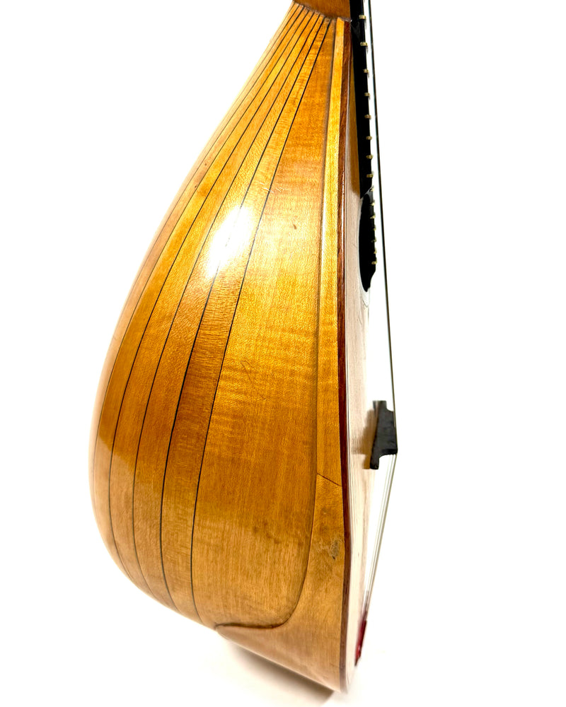 Mandoline de Concert Emanuele Egildo N°544 de 1925