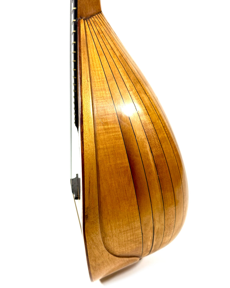 Mandoline de Concert Emanuele Egildo N°544 de 1925