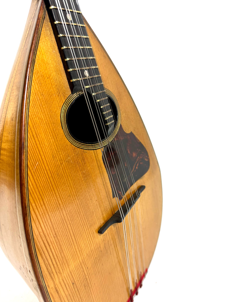 Mandoline de Concert Emanuele Egildo N°544 de 1925