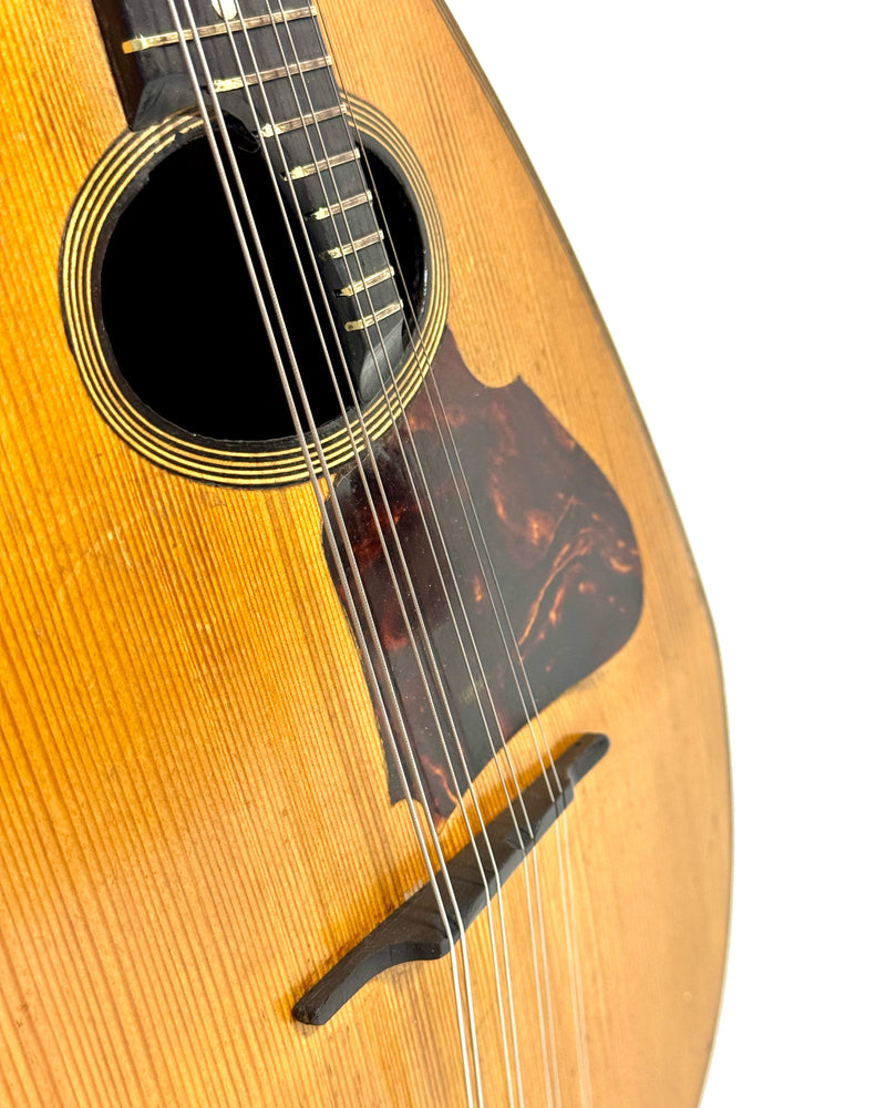 Mandoline de Concert Emanuele Egildo N°544 de 1925