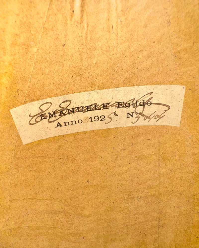 Mandoline de Concert Emanuele Egildo N°544 de 1925