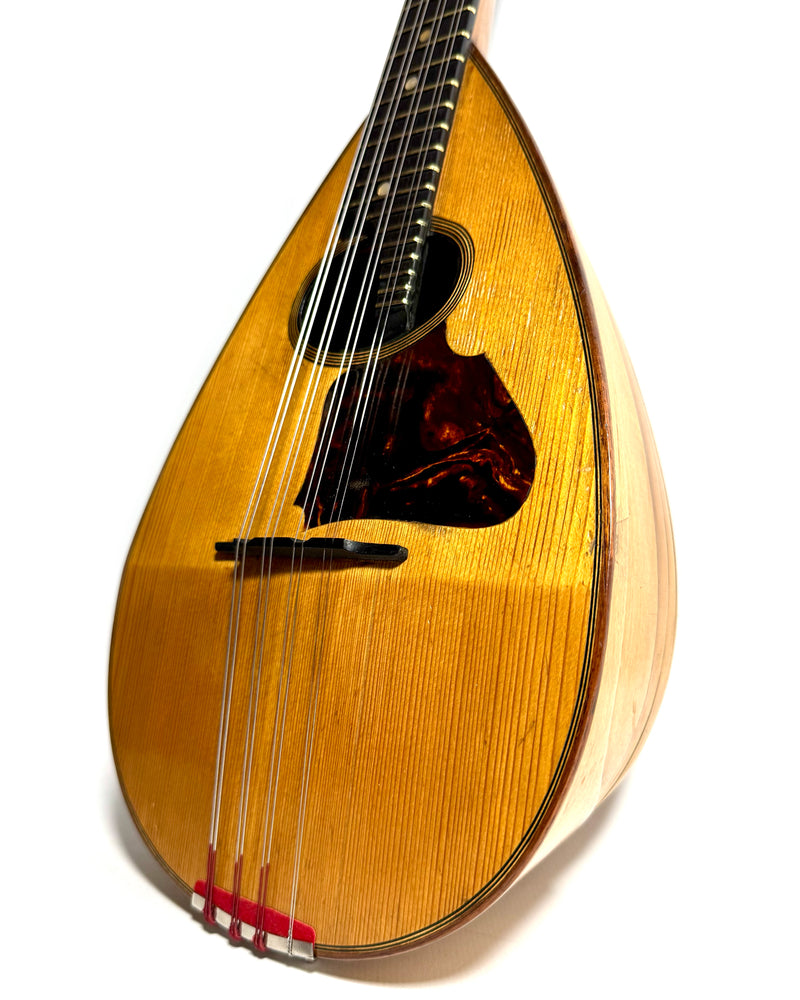 Mandoline de Concert Emanuele Egildo N°544 de 1925