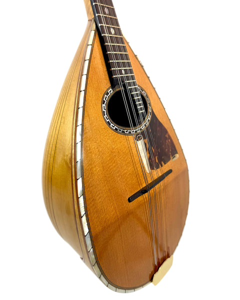 Mandoline de Concert Emanuele Egildo N°848 de 1917 – L'instrumenterie