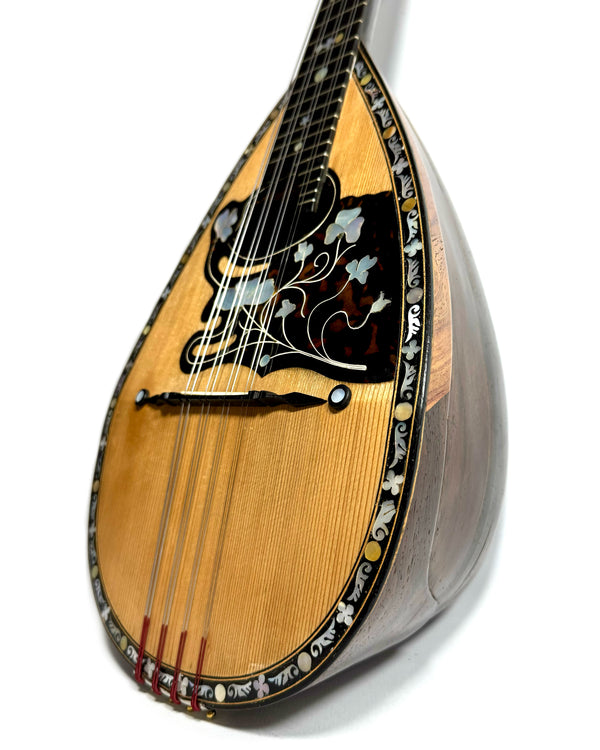 Mandoline de Concert Fratelli Fornasari 1900's