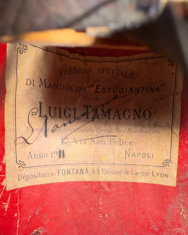 Mandoline de Concert Luigi Tamagno de 1911