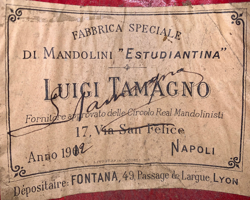 Mandoline de Concert Luigi Tamagno de 1912