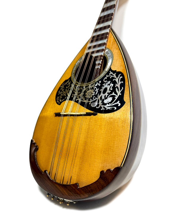 Mandolines / Mandolins – L'instrumenterie