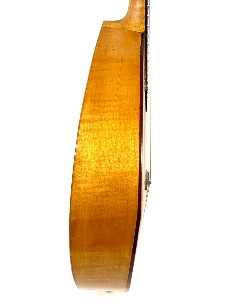 Mandoline de Concert Plate 1920's