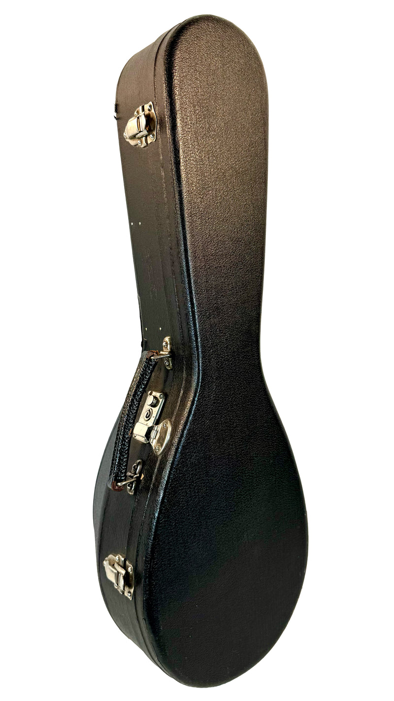 Mandoline de Concert Raffaele Calace Classico A de 1958