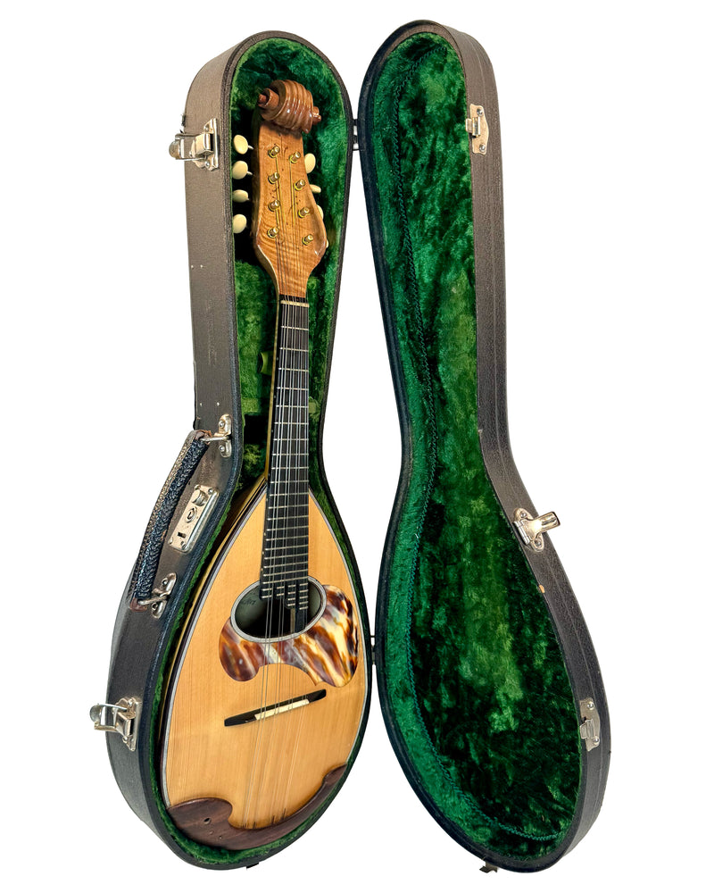 Mandoline de Concert Raffaele Calace Classico A de 1958