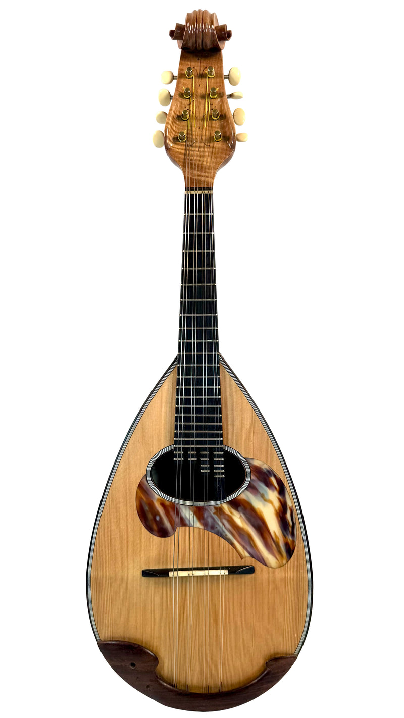 Mandoline de Concert Raffaele Calace Classico A de 1958