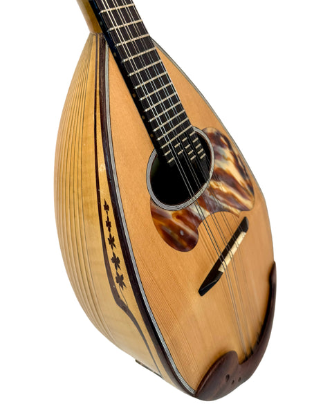 Mandoline de Concert Raffaele Calace Classico A de 1958 – L'instrumenterie