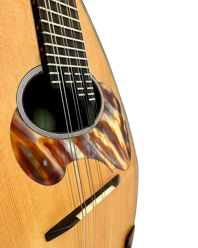 Mandoline de Concert Raffaele Calace Classico A de 1958