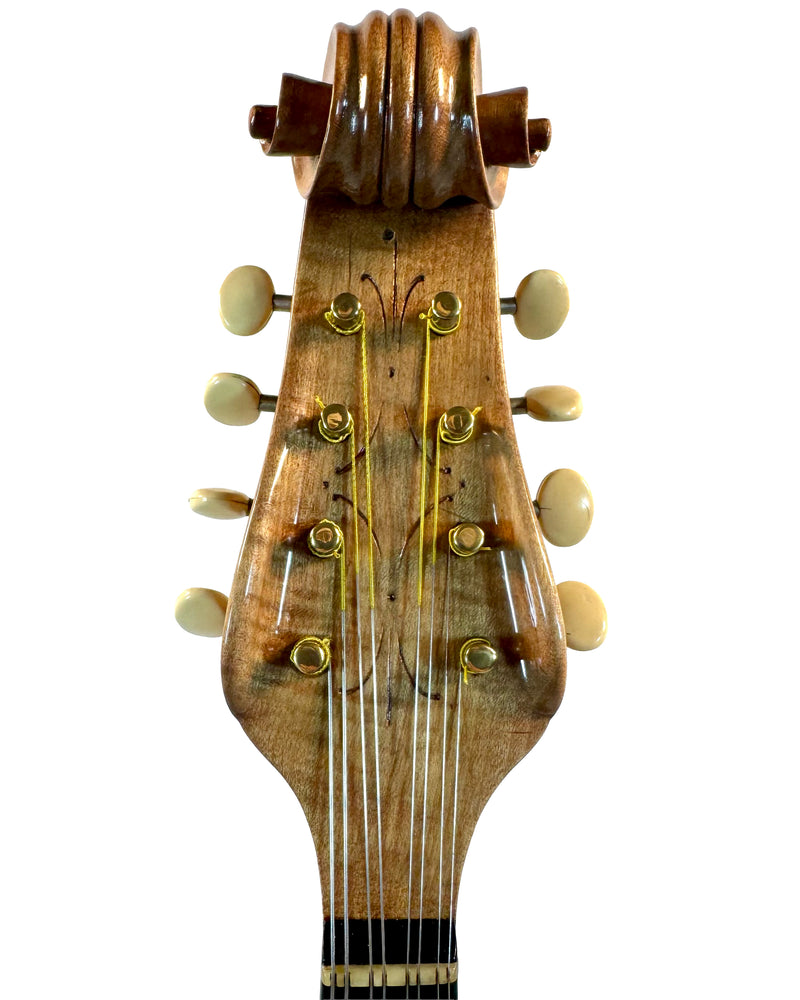 Mandoline de Concert Raffaele Calace Classico A de 1958
