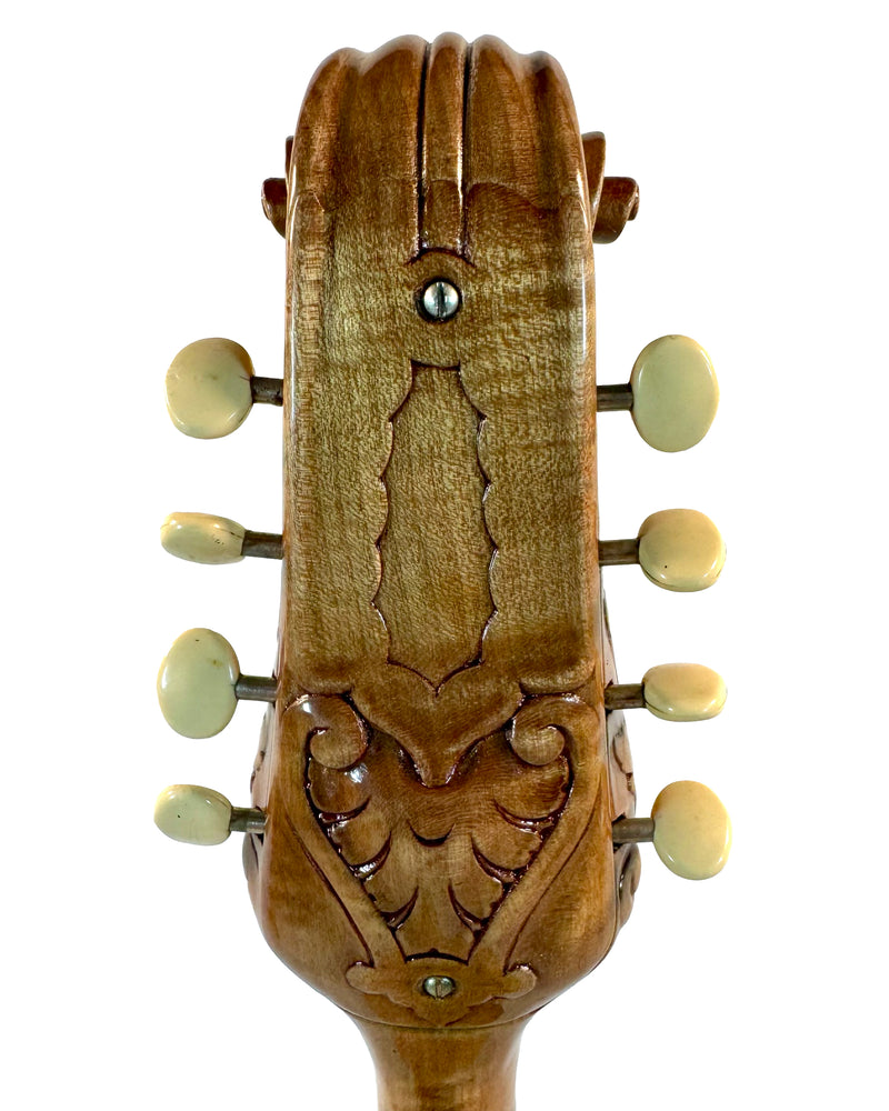 Mandoline de Concert Raffaele Calace Classico A de 1958