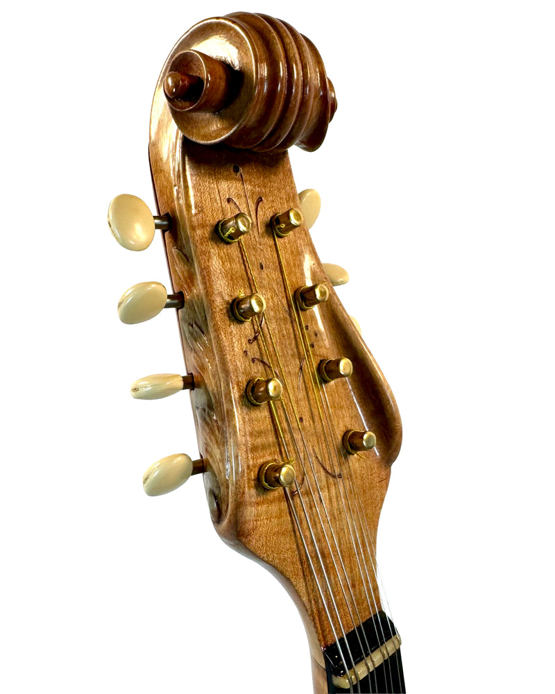 Mandoline de Concert Raffaele Calace Classico A de 1958