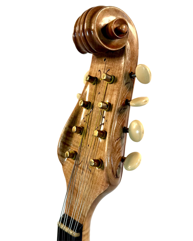 Mandoline de Concert Raffaele Calace Classico A de 1958