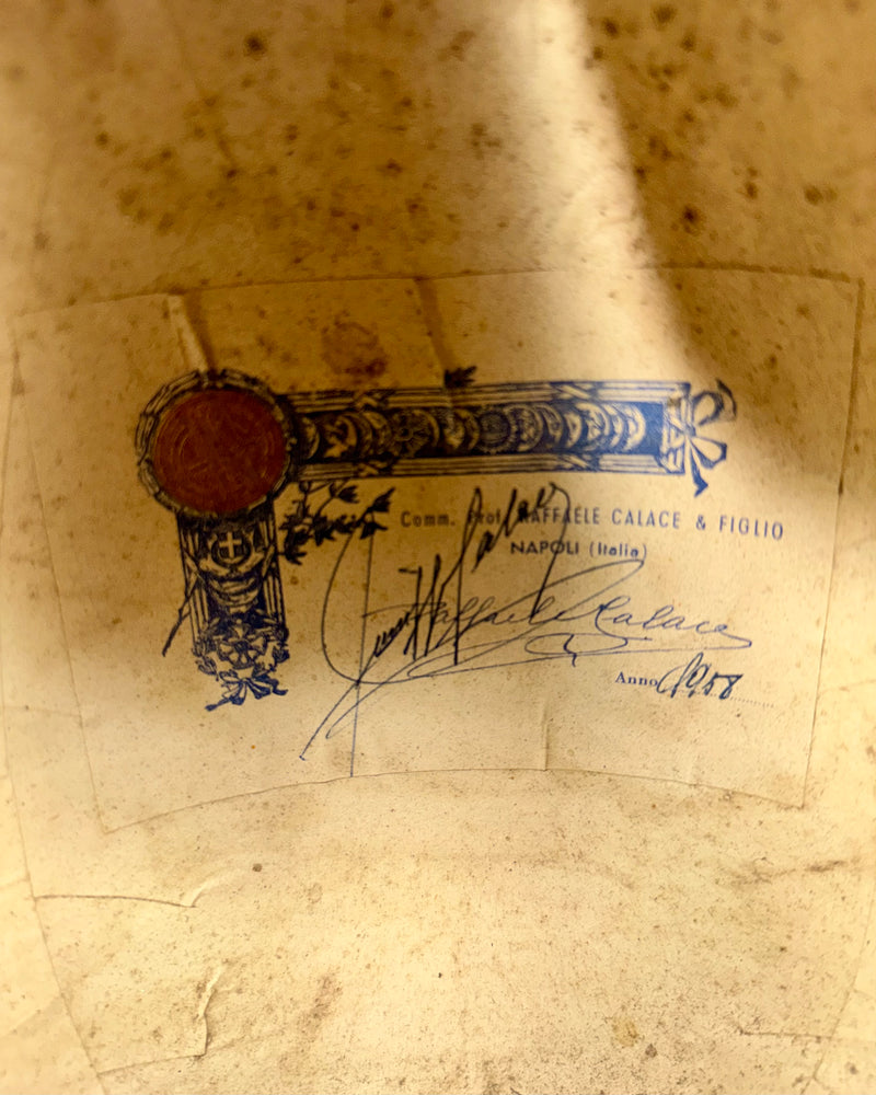 Mandoline de Concert Raffaele Calace Classico A de 1958