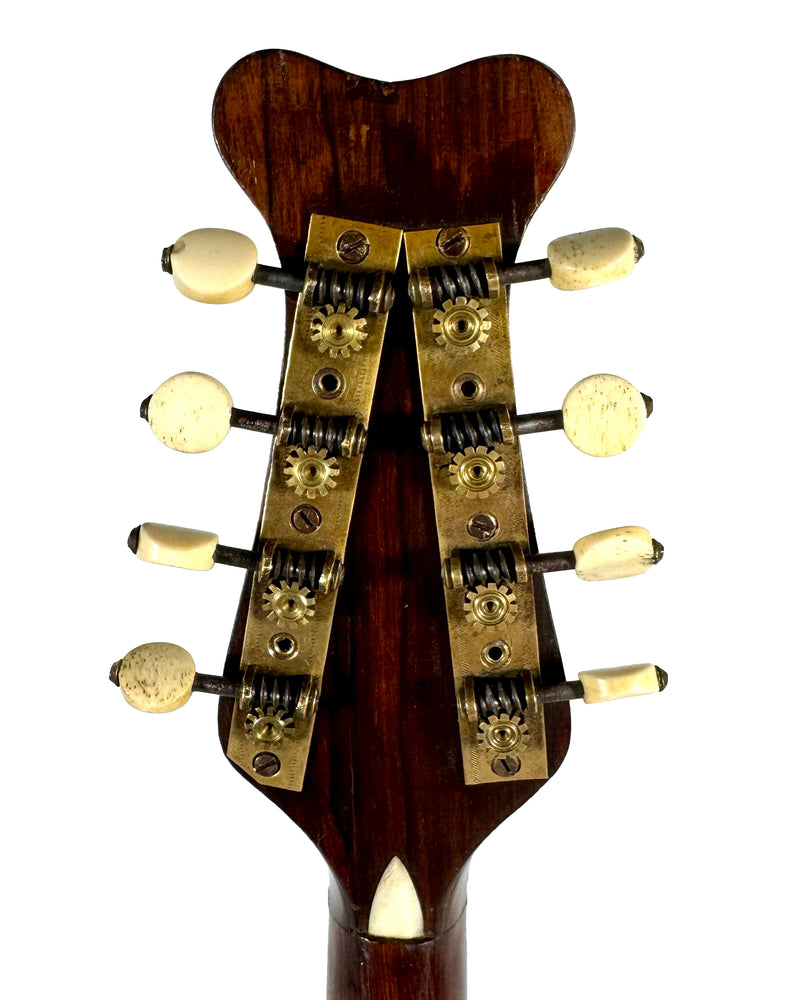 Mandoline de Concert Raffaele Calace N°2 de 1910