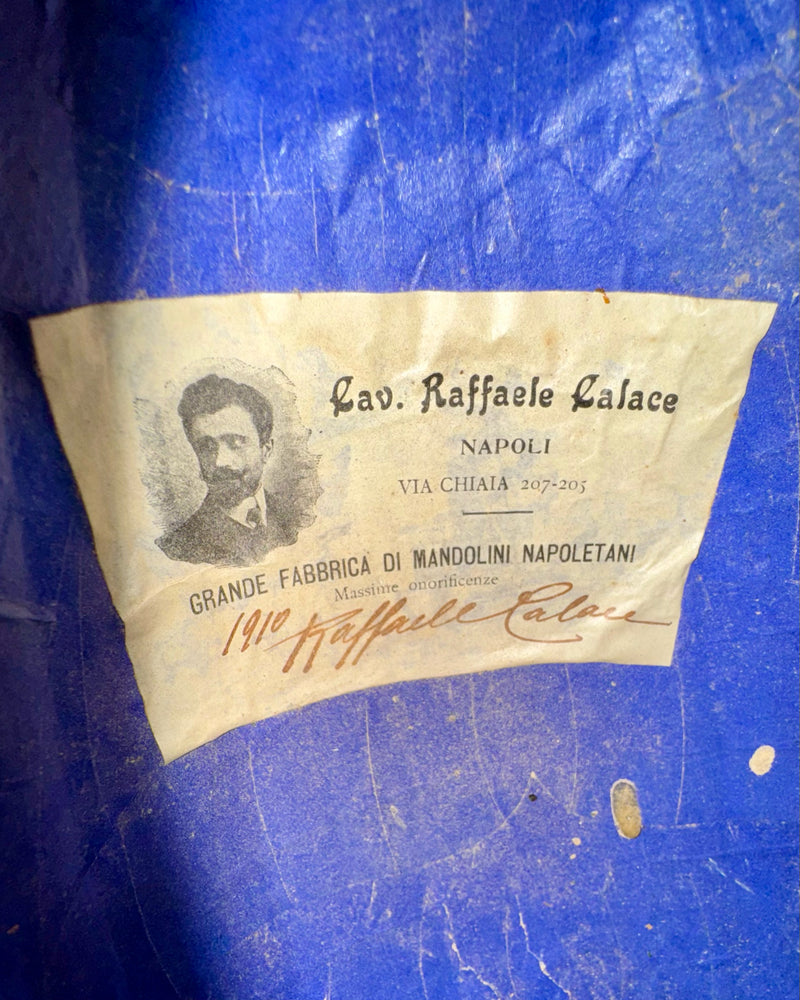 Mandoline de Concert Raffaele Calace N°2 de 1910