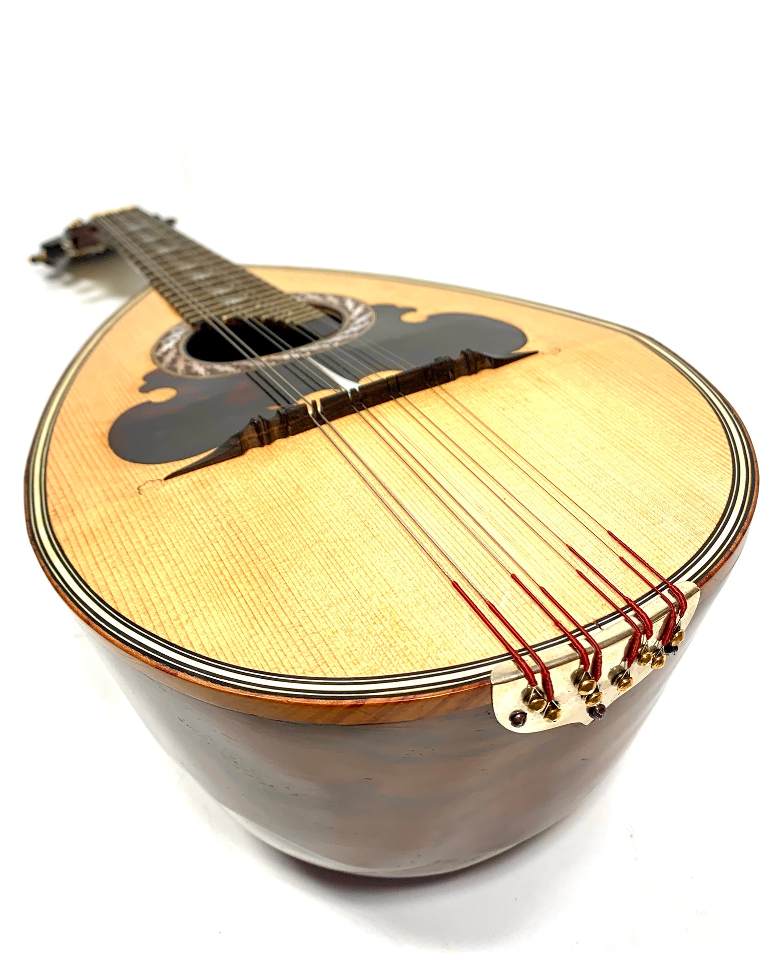 RAFFAELE CALACE マンドリン　Anno19 RAFFAELE CALACE マンドリン Anno19 RAFFAELE CALACE マンドリン