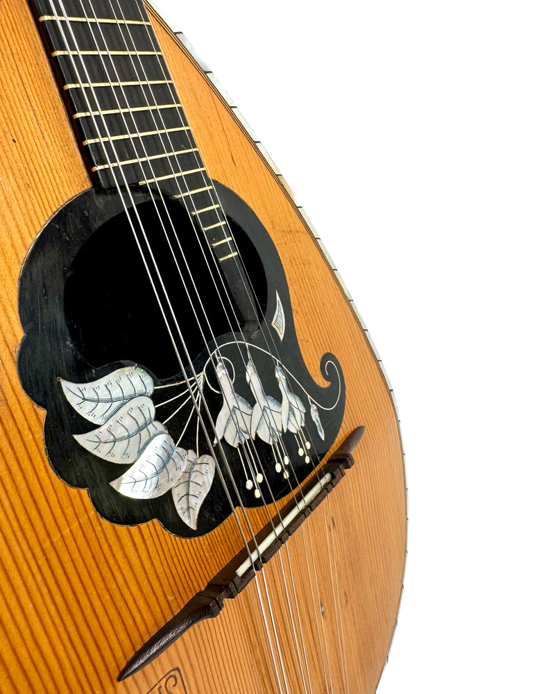 Mandoline de Concert Rogis / J. P. Beuscher 1930's