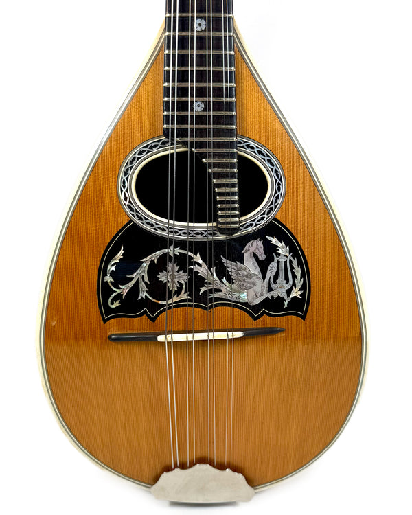 Mandoline de Concert Type Embergher Puglisi Reale & Figli 1925's