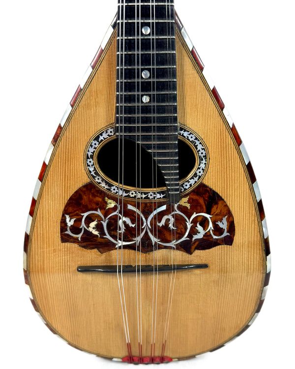 Mandolines / Mandolins – L'instrumenterie