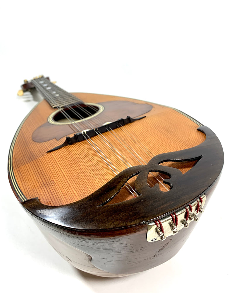 Raffaele Calace mandolin from 1909