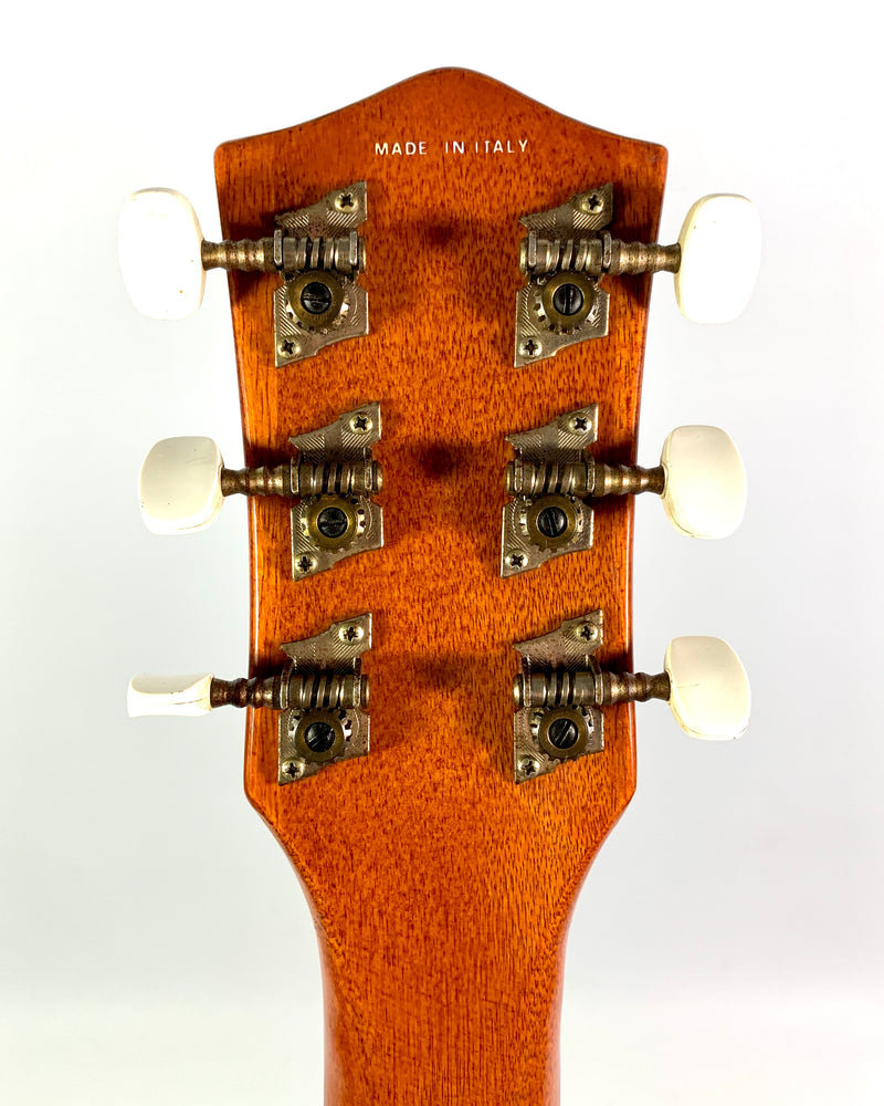 Banjo Guitar Eko 6 strings 1970's (Sticker Logo)
