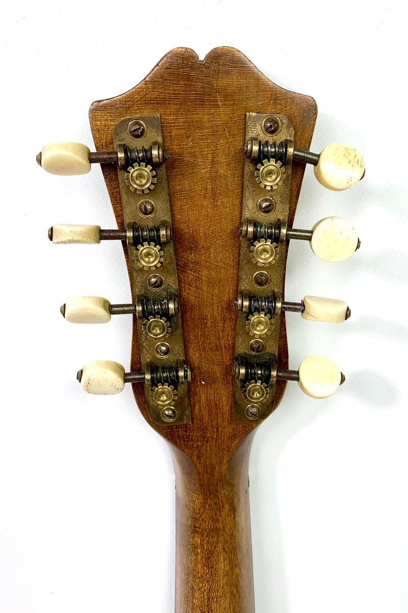 EMANUELE Egildo mandolin n°766 from 1909