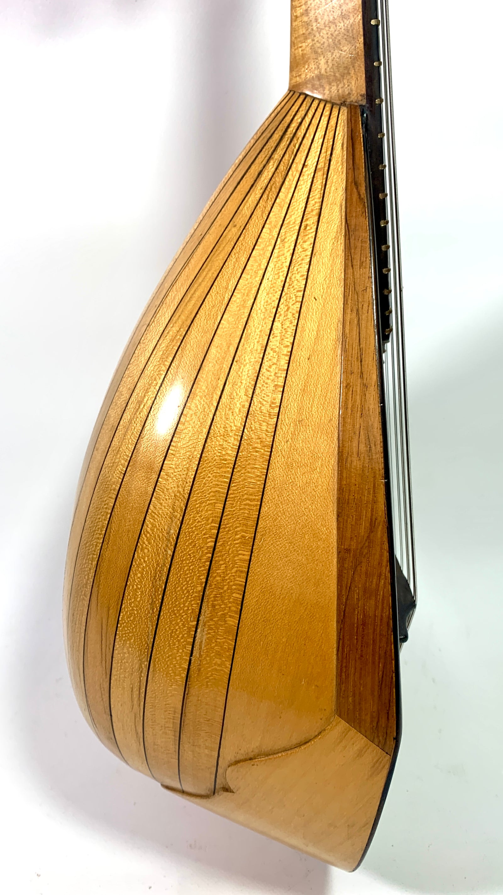 Luigi Embergher Orchestra 1 mandolin from 1906 – L