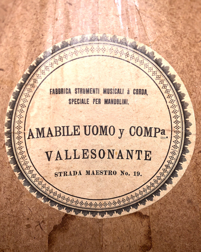 Mandoline Amabile Uomo 1900/1910's